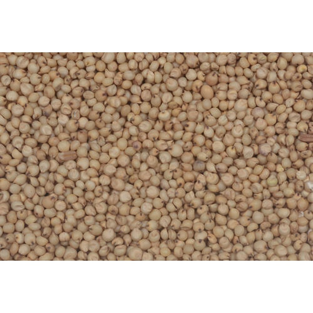 34/Kg Bijapur Jowar