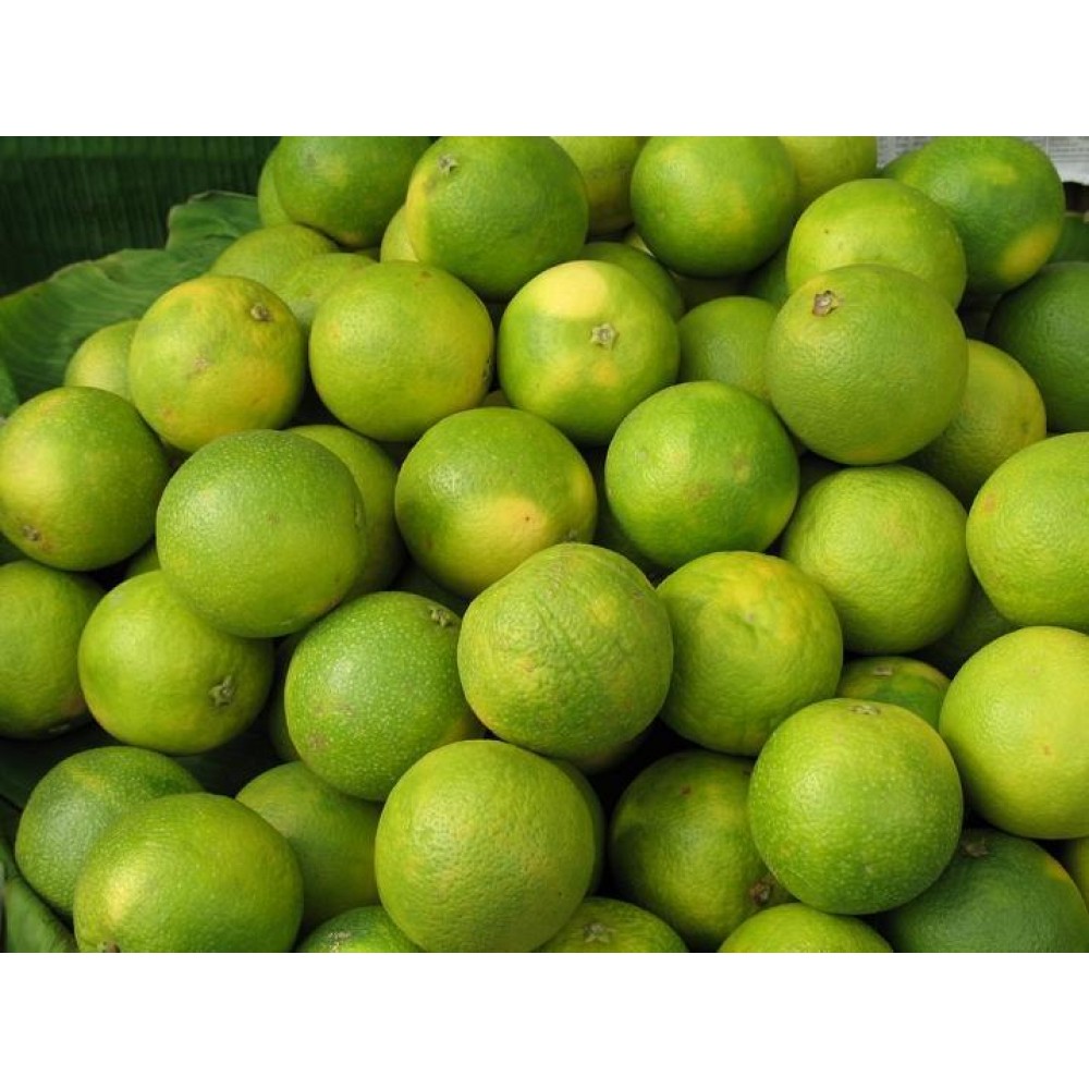 Mosambi (Sweet lime, sweet lemon)